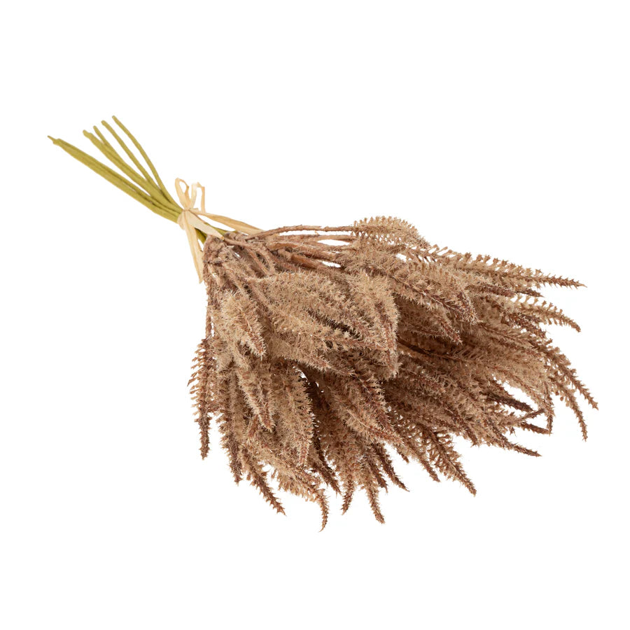 Mini Pampas Grass Bundle, Light Brown