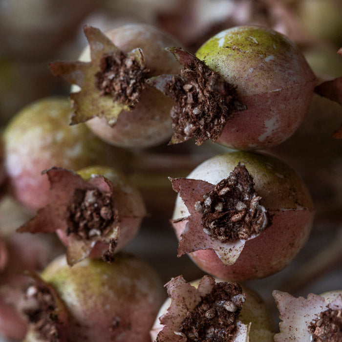 Artificial Rose Hip Bunch Blush