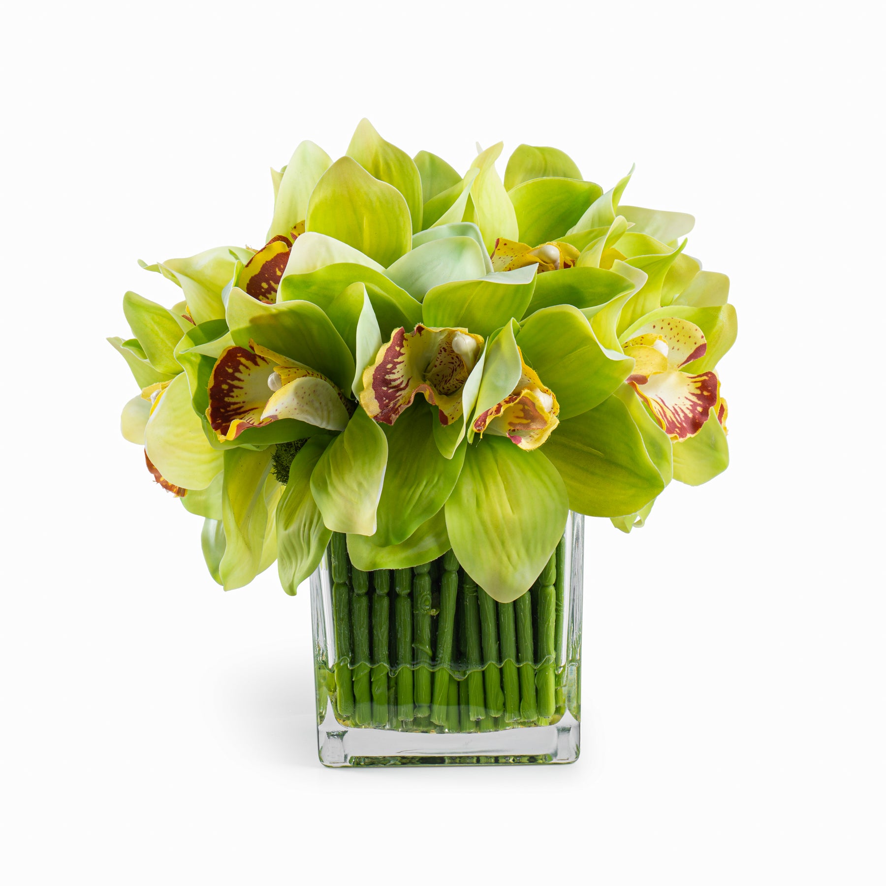 DH Green Orchid in Square Glass Vase