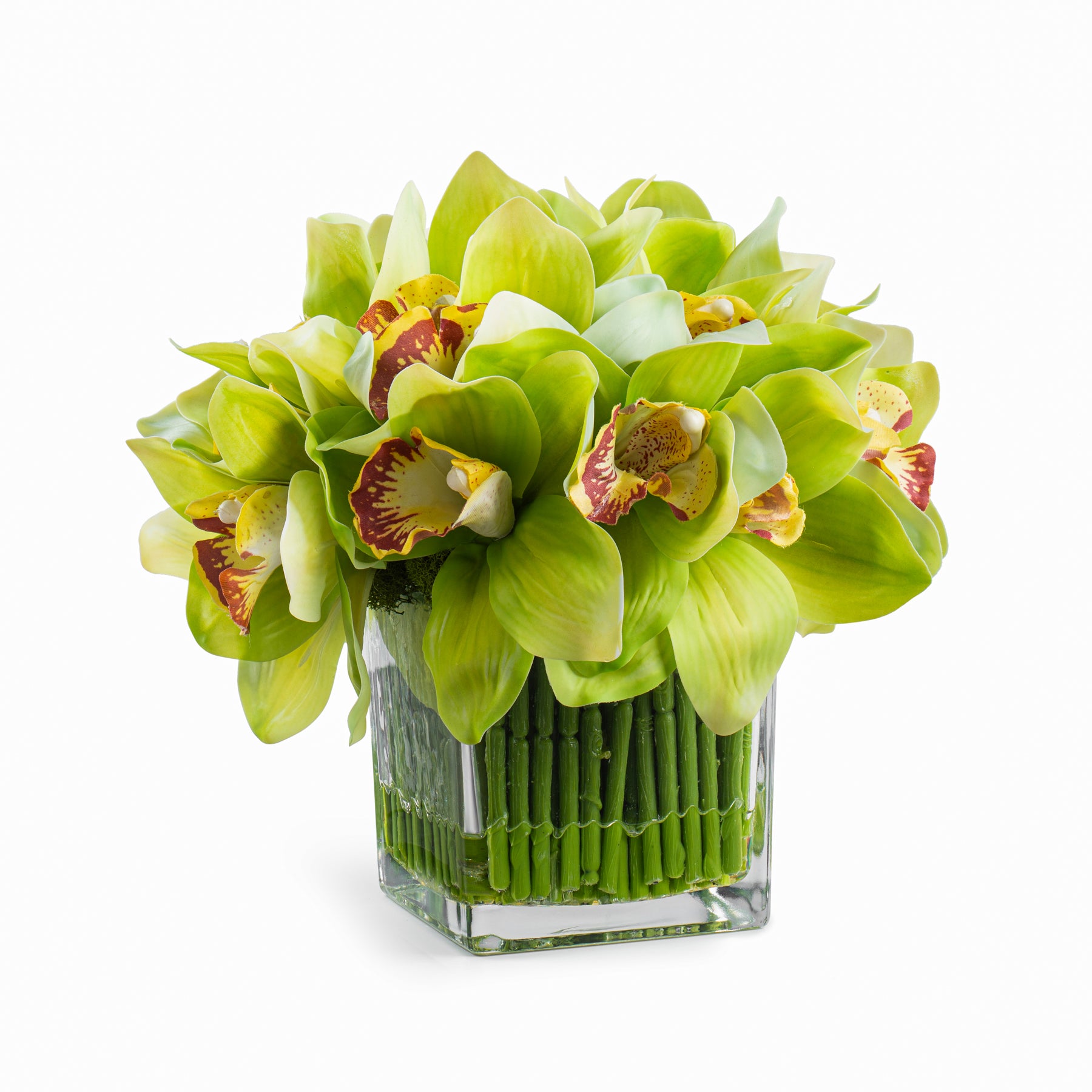 DH Green Orchid in Square Glass Vase