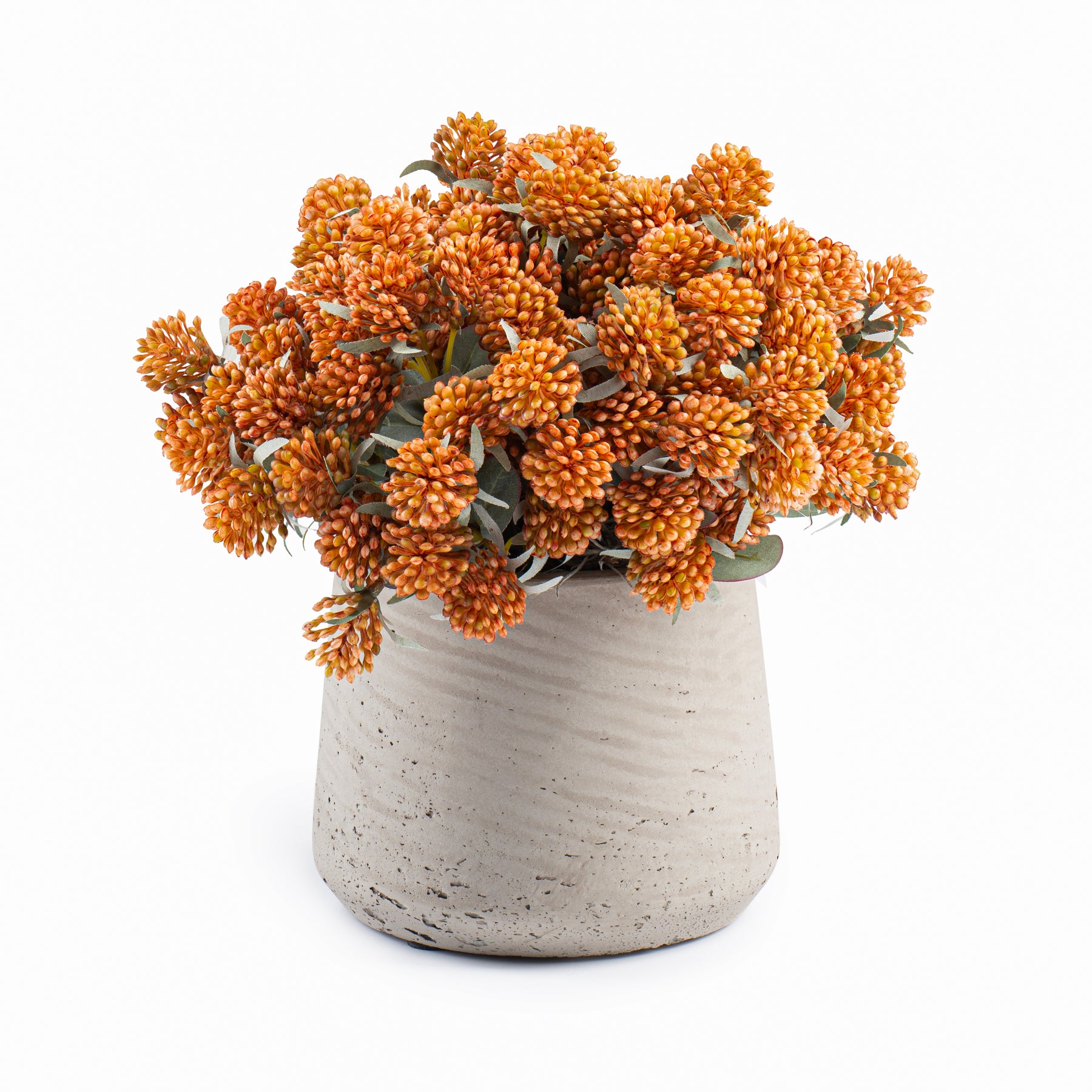 DH Orange Berries in Patt Pot