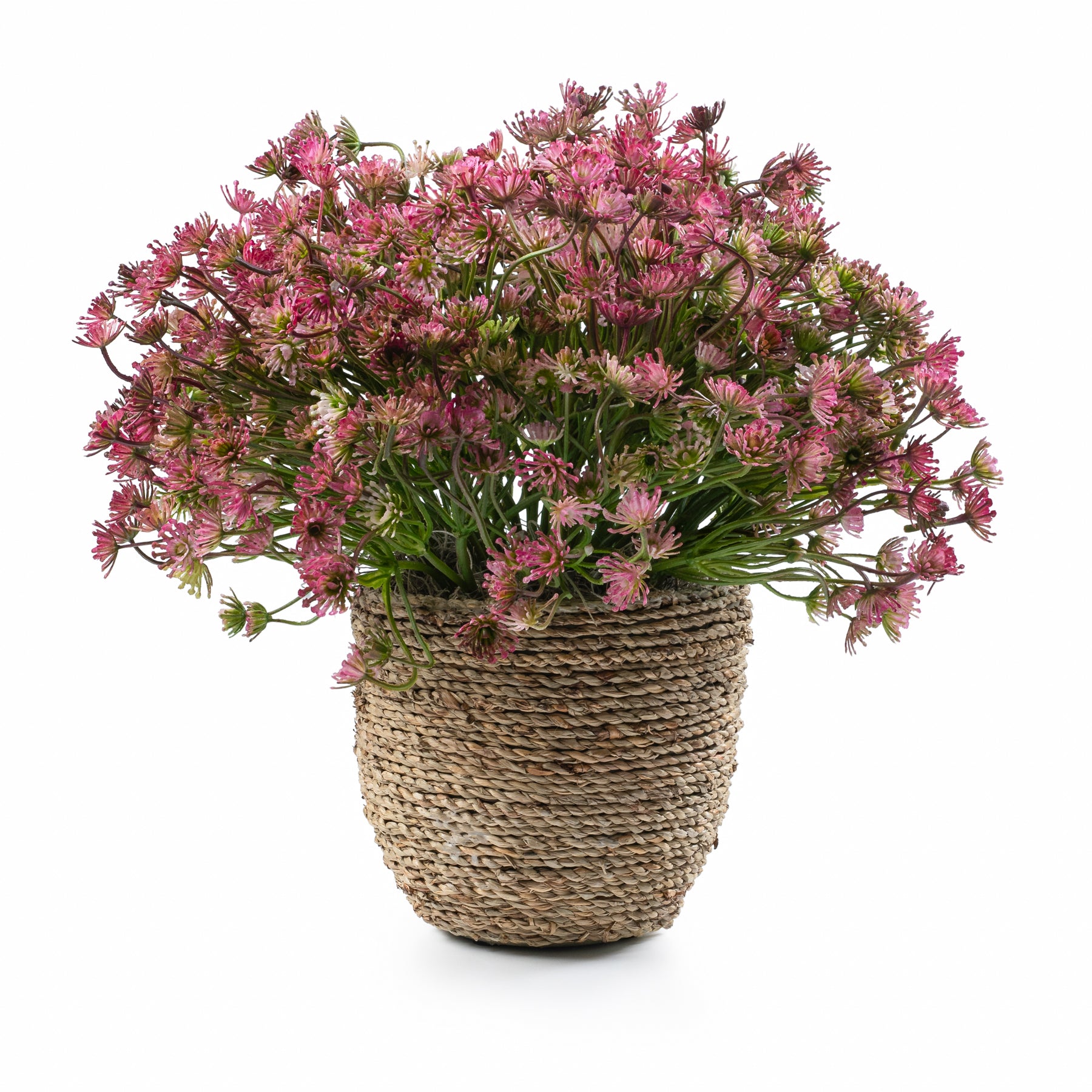 DH Pink Allium Rope Pot