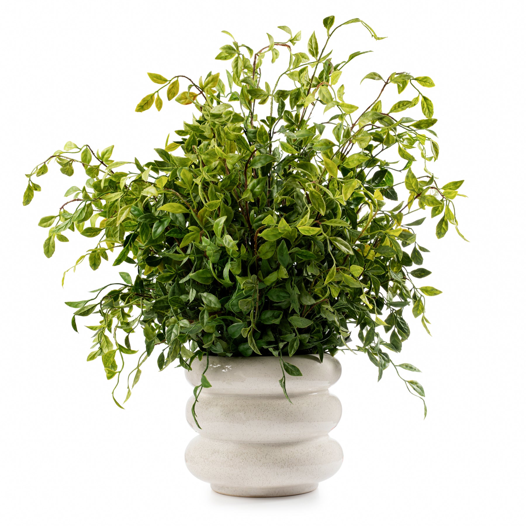 DH Nandina Leaf Ridged Pot