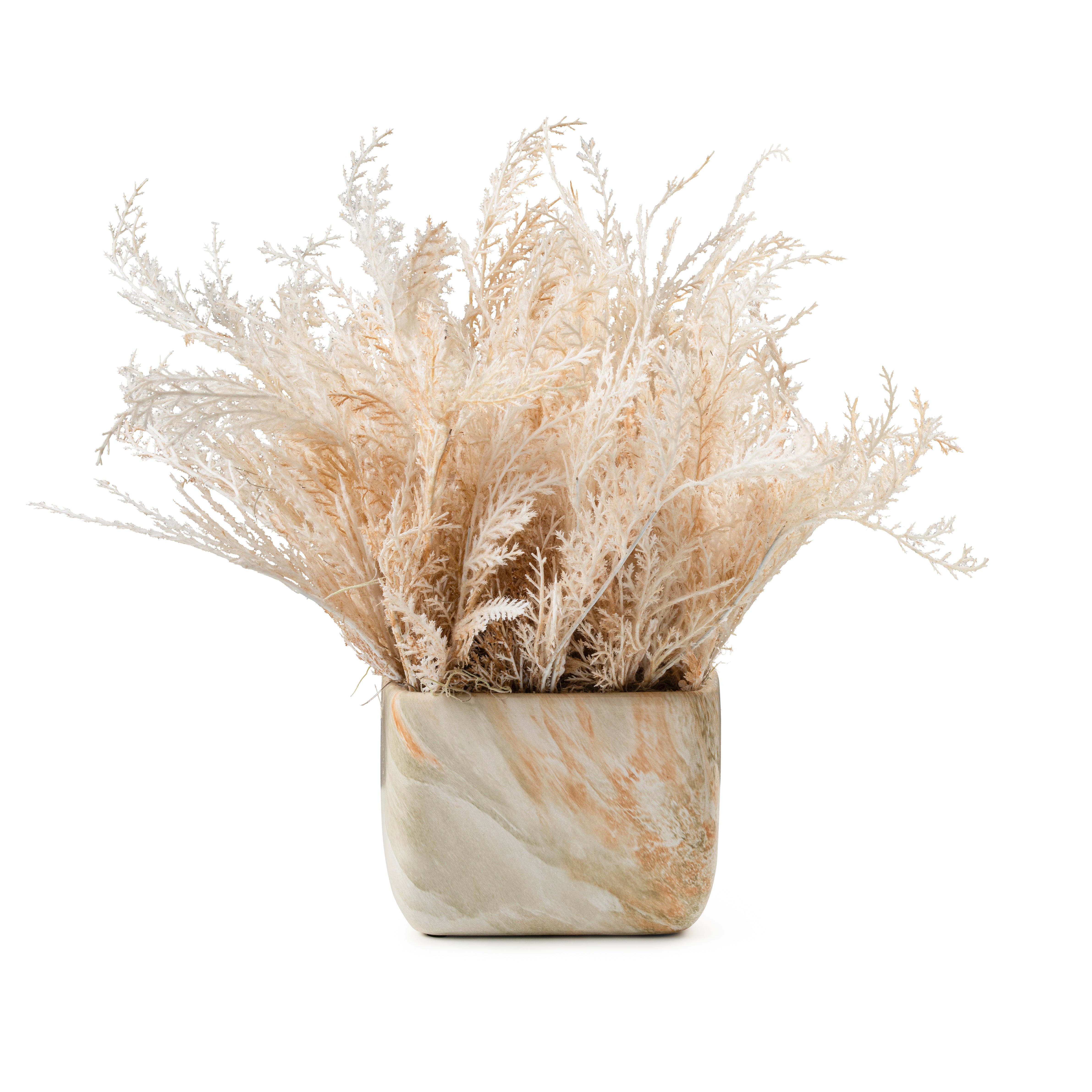 DH Wispy Pampas in Marble Pot