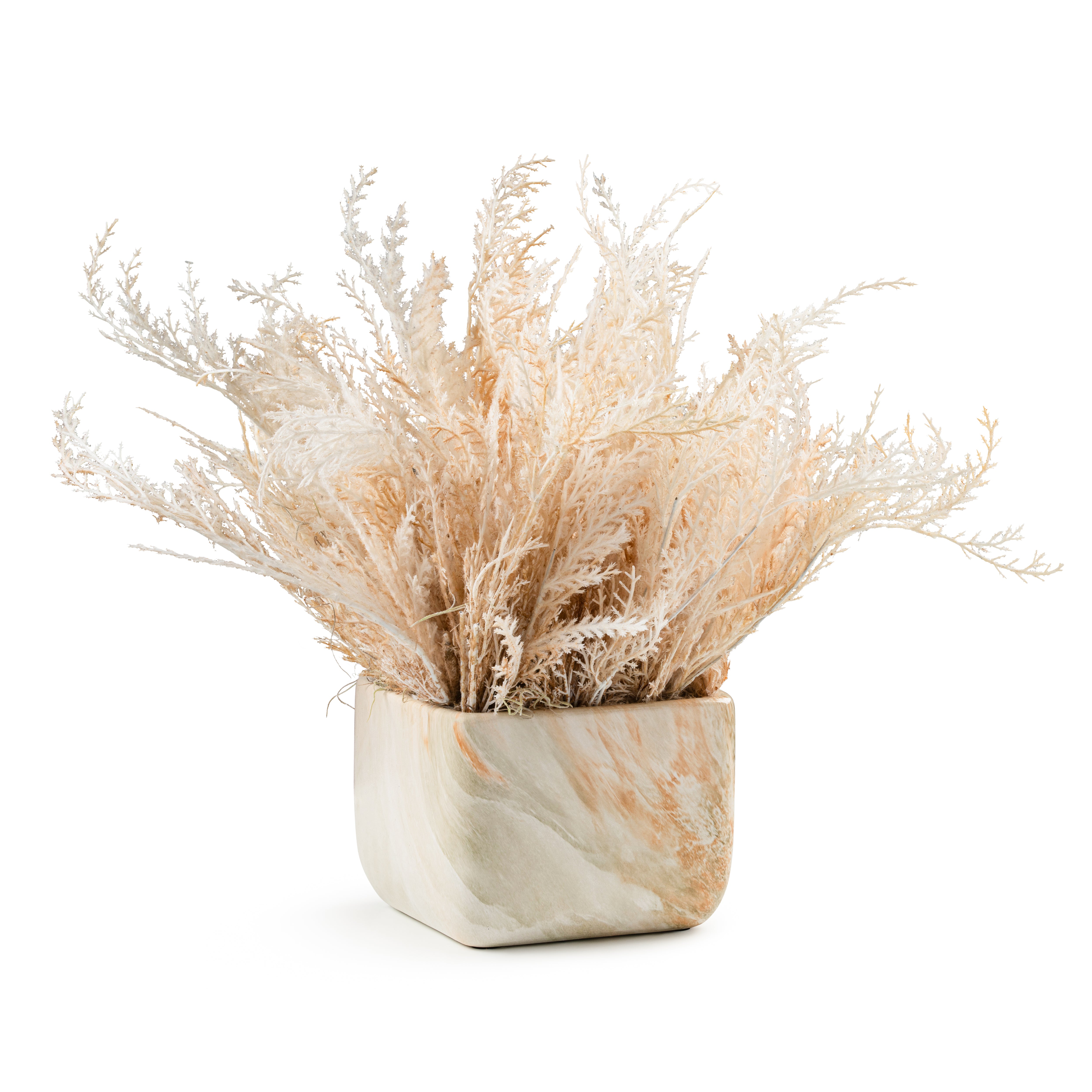 DH Wispy Pampas in Marble Pot