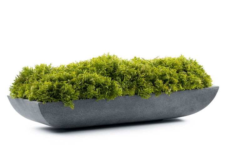 DH Green Moss Concrete Pandora