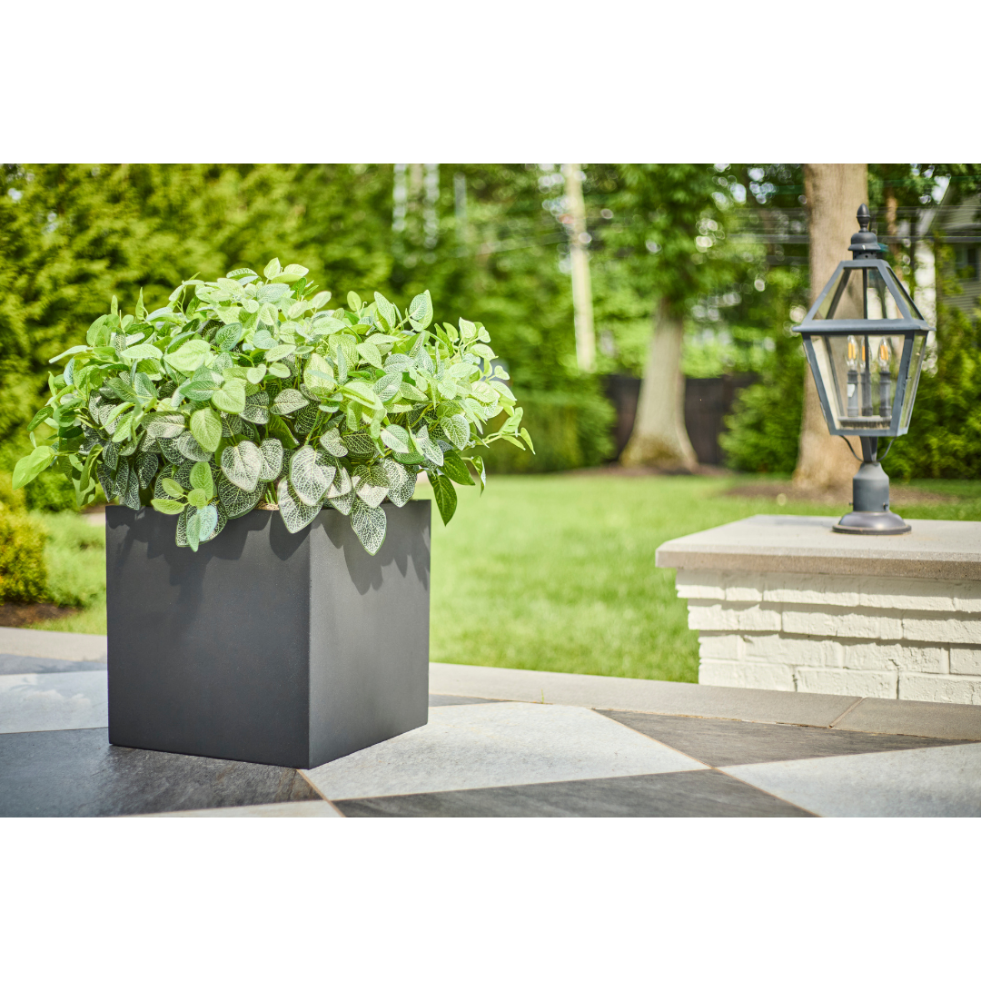 DH Outdoor Collection Fittonia Leaves Square Black Planter Pot