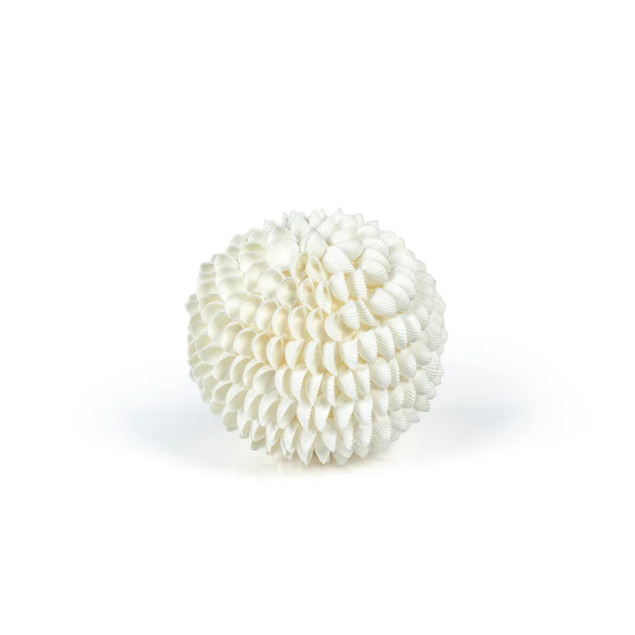 Natural Clamrose Sea Shell Fill Ball