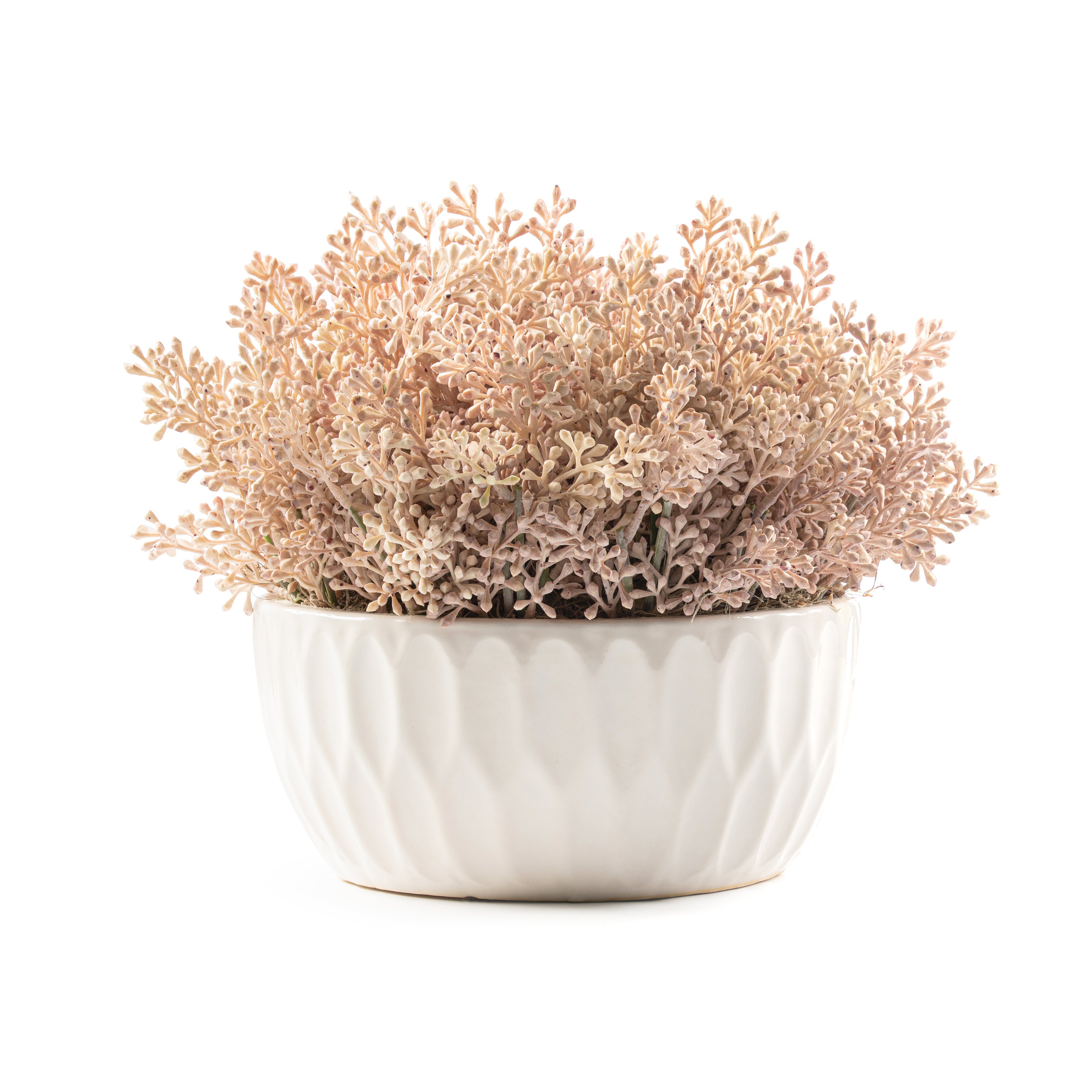 DH Pell Textured Pink Seed Arrangement