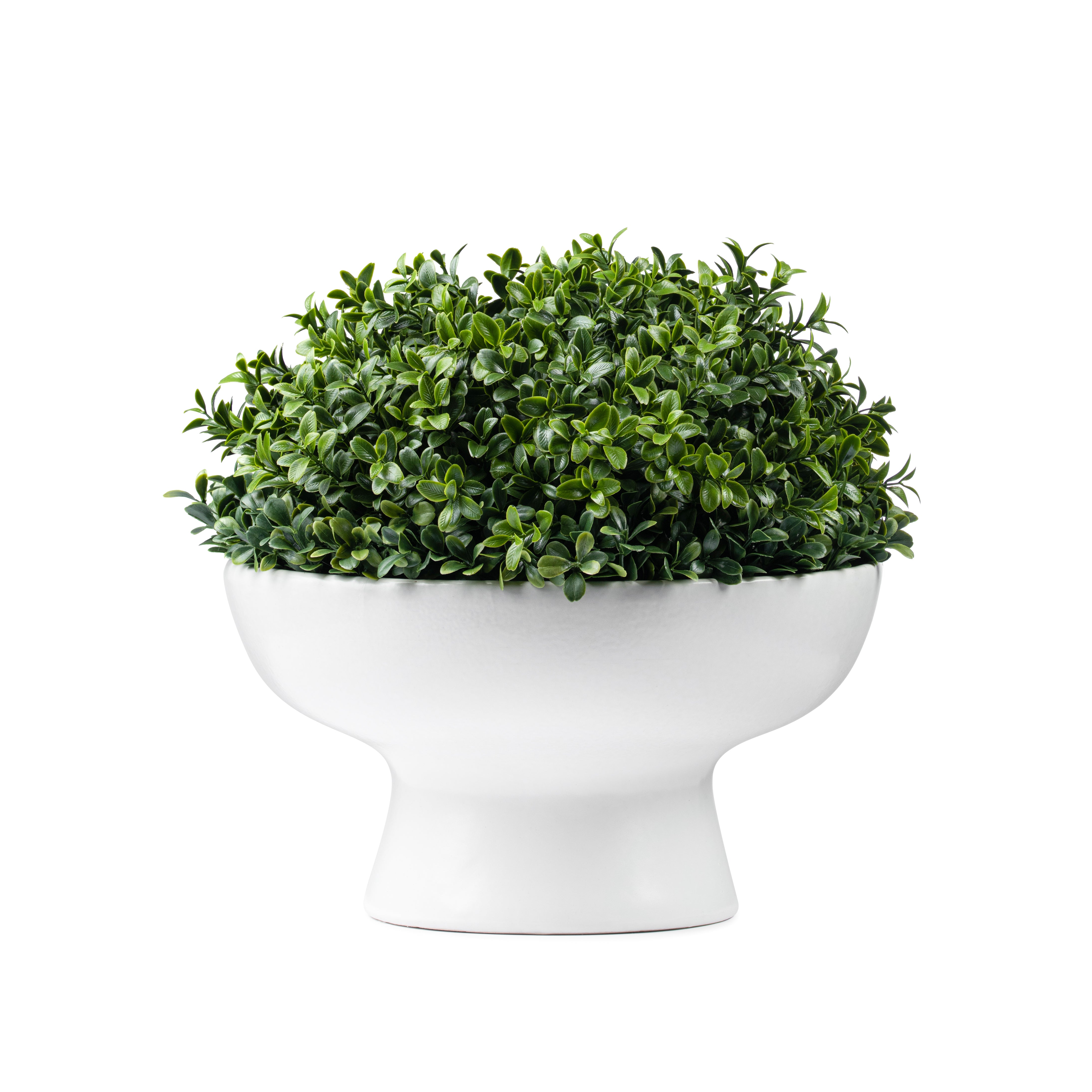 DH White Pedestal Boxwood Floral Arrangement