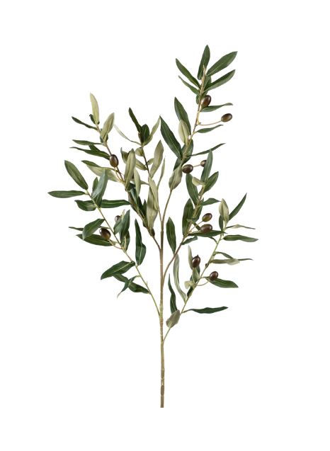 Olive Branch Spray