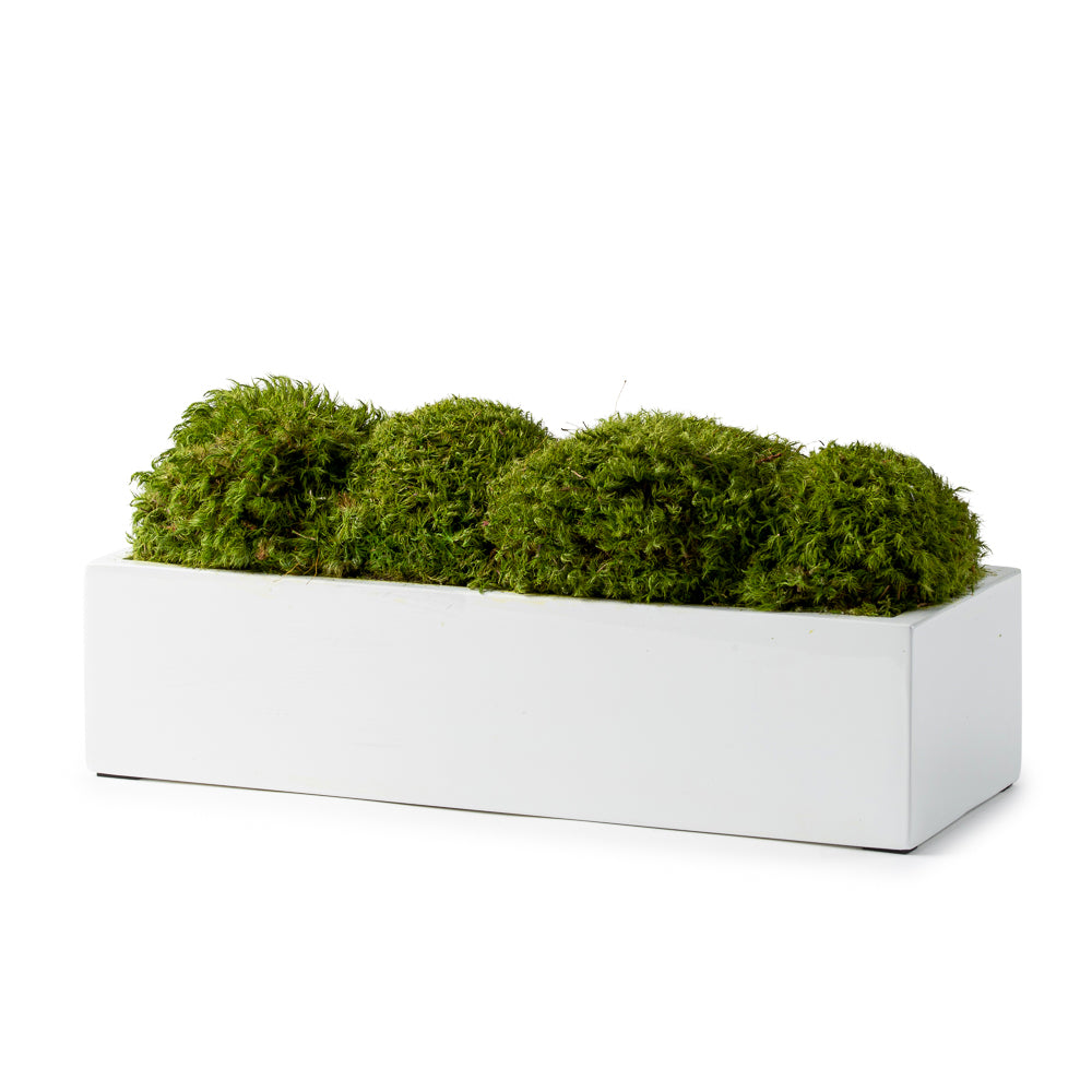 DH Moss Rectangular Pot