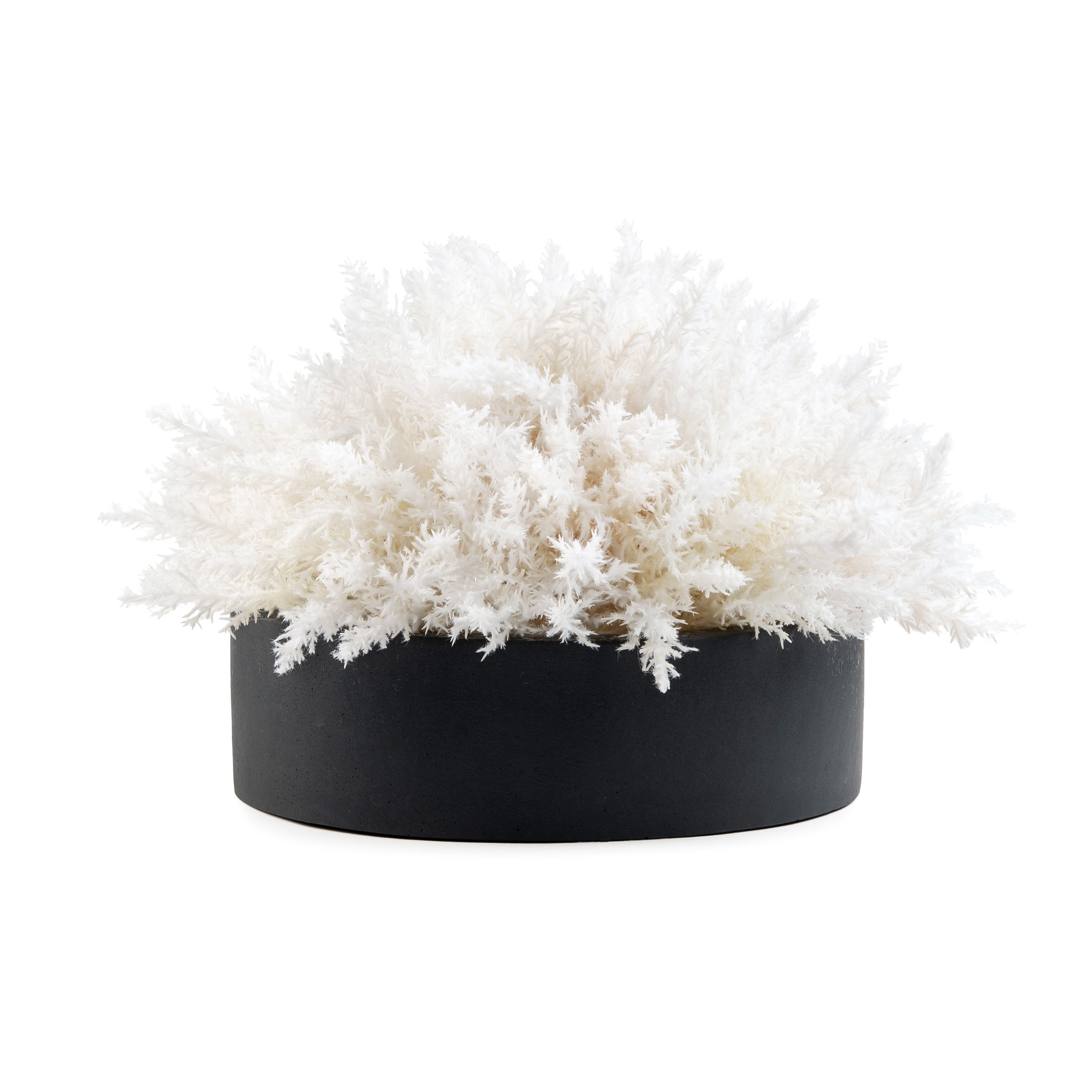 DH Pampas Floral Pot