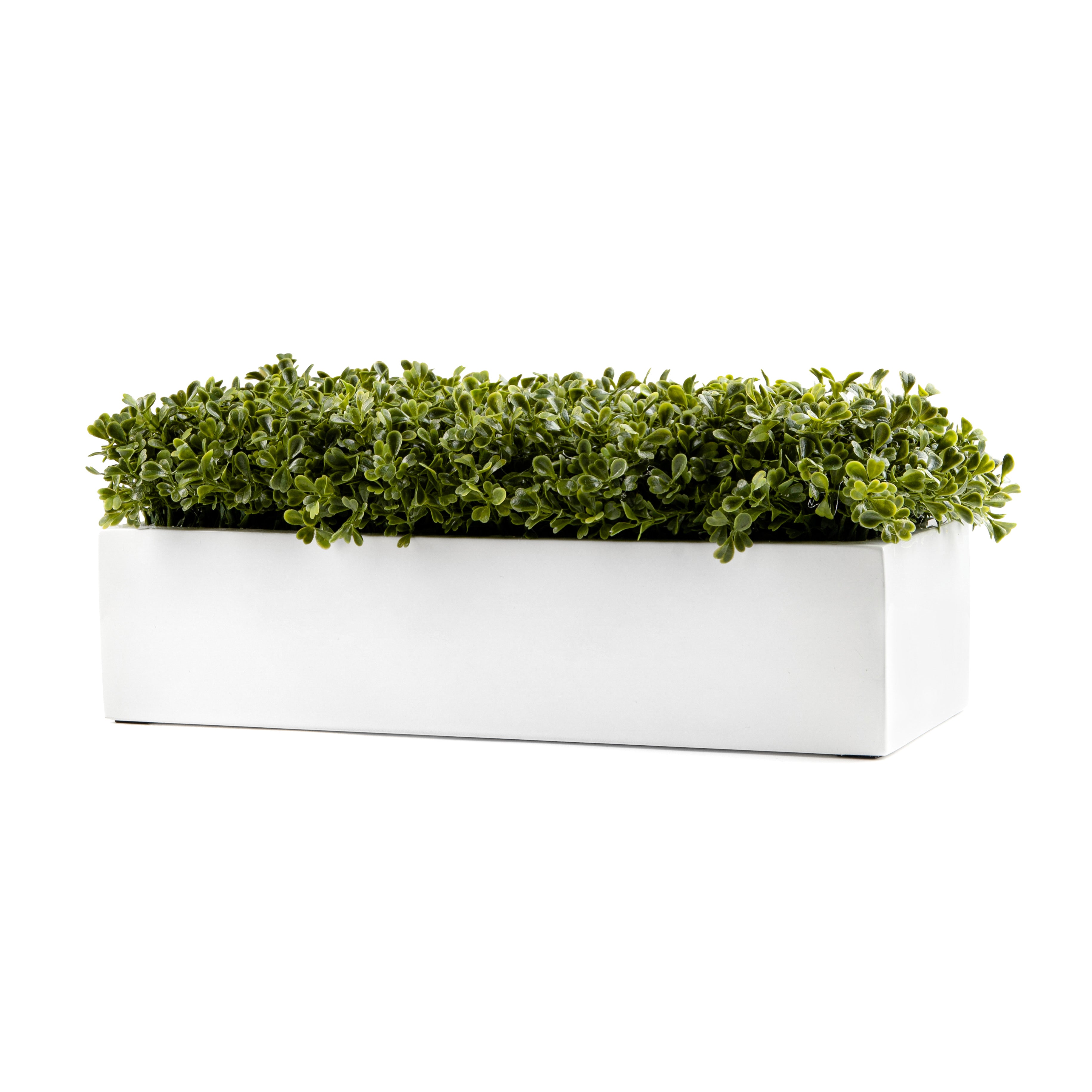 DH White Rectangle Boxwood Pot