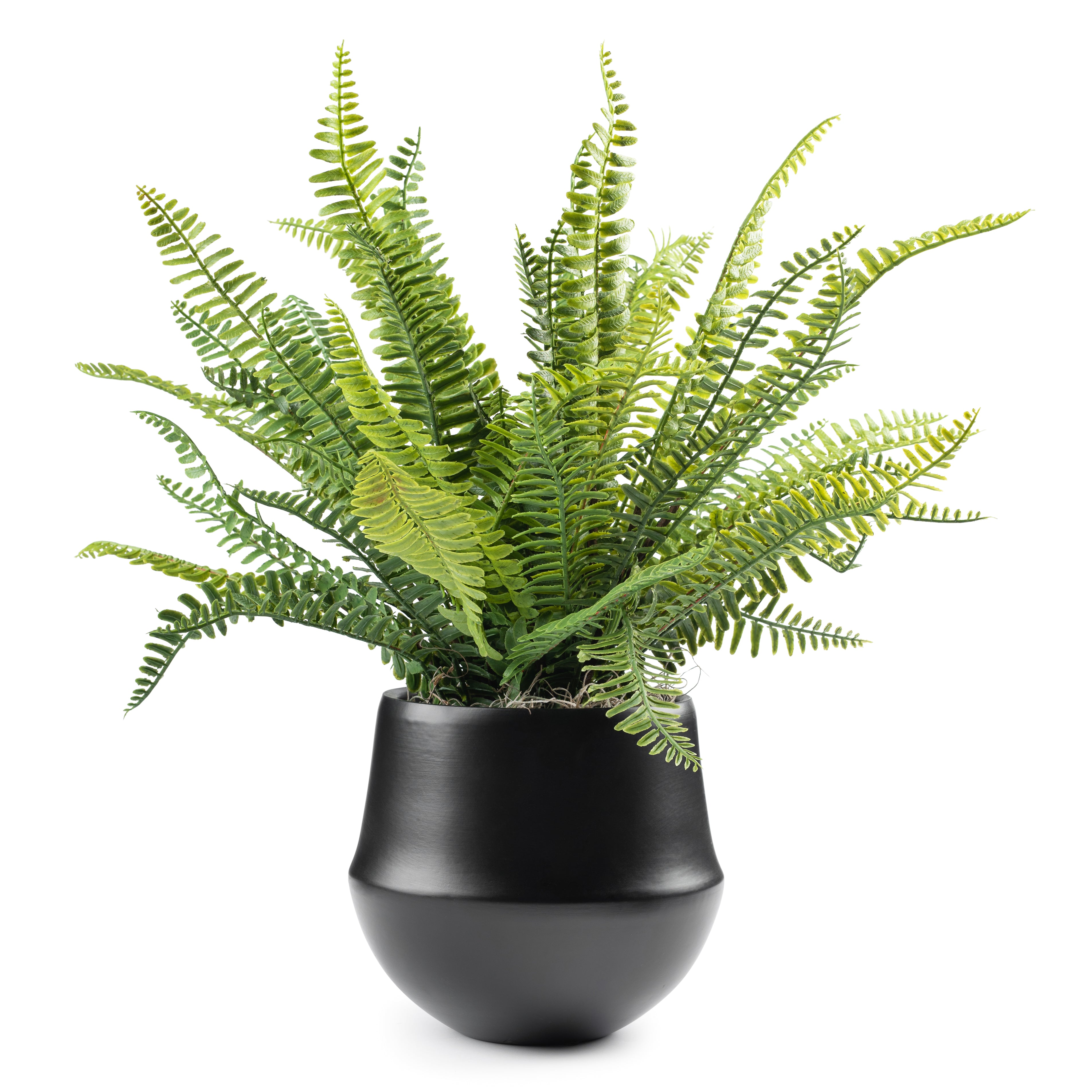 DH Fern Floral Pot