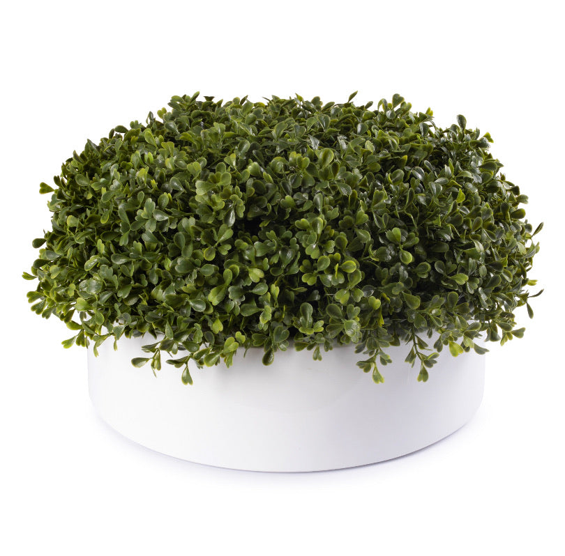 DH White Round Boxwood Pot