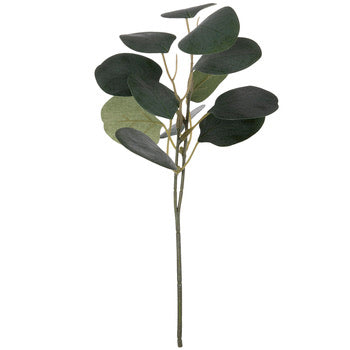 Eucalyptus Leaf Floral