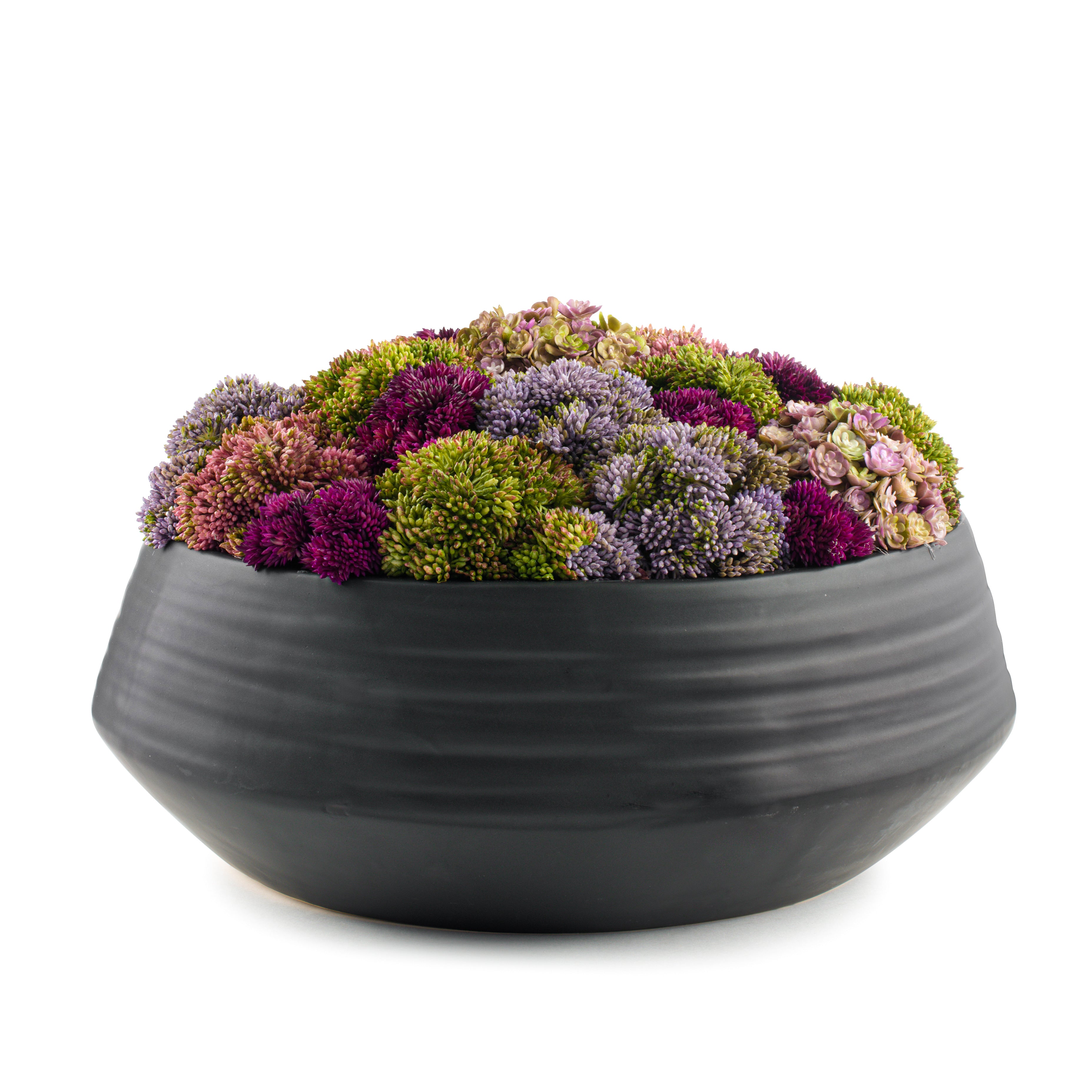 DH Floral Black Ceramic Pot