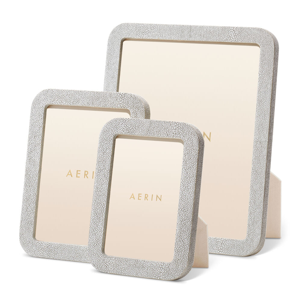 Aerin Dove Shagreen Frame